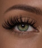 Your Moonlight Lashes